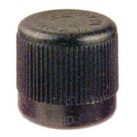 A/C SERVICE CAP PQT10