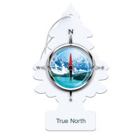 AIR FRESHENER TRUE NORTH SCENT PACK 3